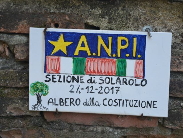 L'albero della Costituzione