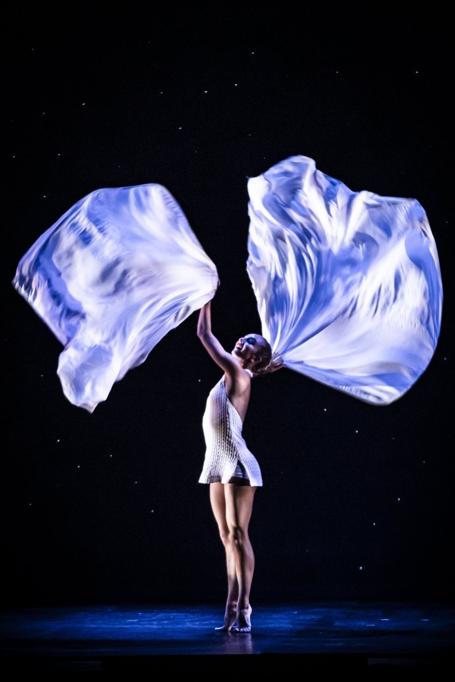 Momix | Back to Momix 