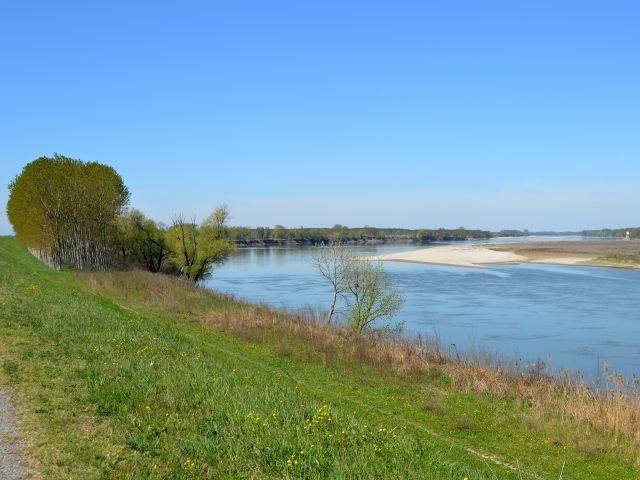 Il fiume Po a Stellata 