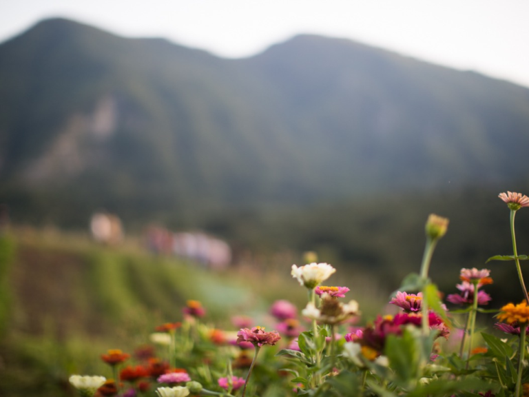 copertina di La retta è per chi ha fretta. Tracce e trame, storie tra due borghi d’Appennino