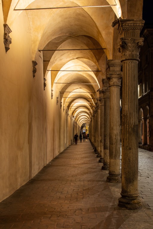 image of The Light of Bologna