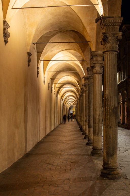 copertina di Tour serale Le Luci di Bologna