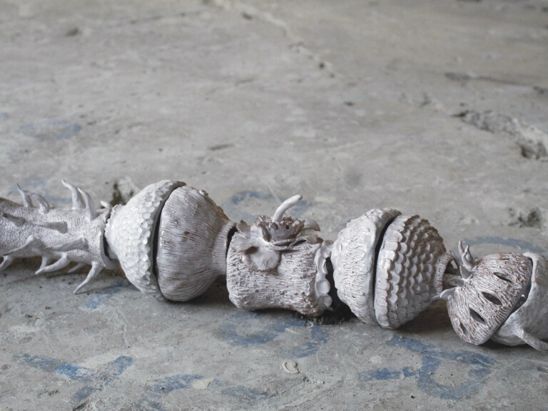 copertina di Collagene | VI serata