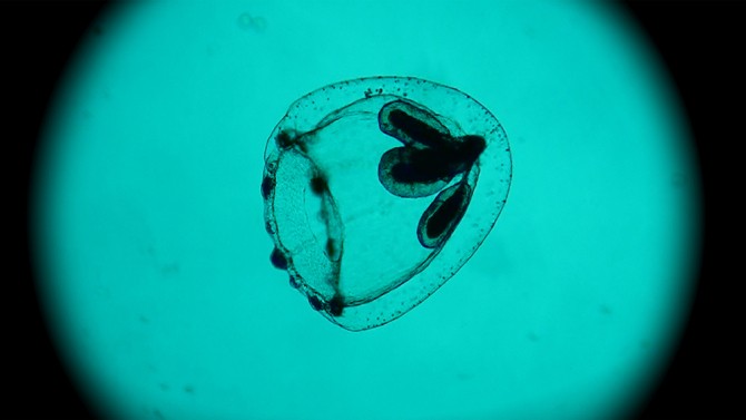spira-mirabilis-venice.jpg