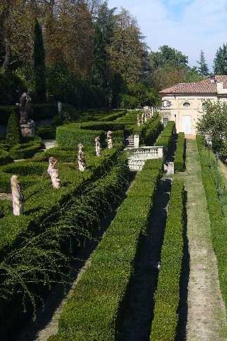 Le rose antiche  di Bologna