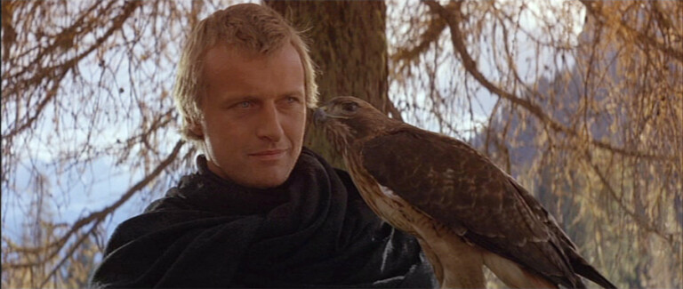 cover of Ladyhawke
