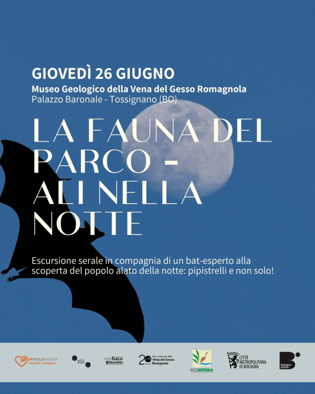 copertina di La fauna del parco: ali nella notte