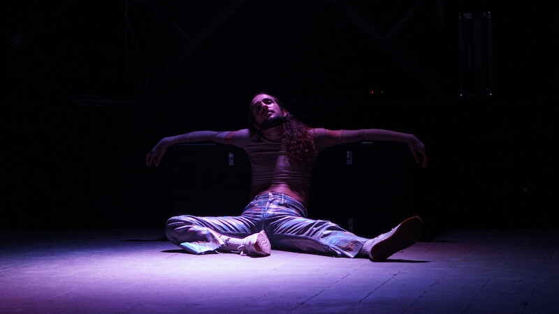 Subversive Bodies