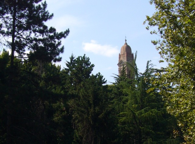 Il campanile di San Michele in Bosco spunta dal folto del parco