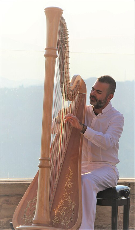 copertina di DAVIDE BURANI in concerto