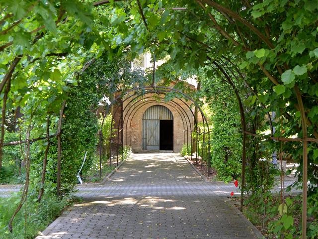 Convento di San Giuseppe - giardino