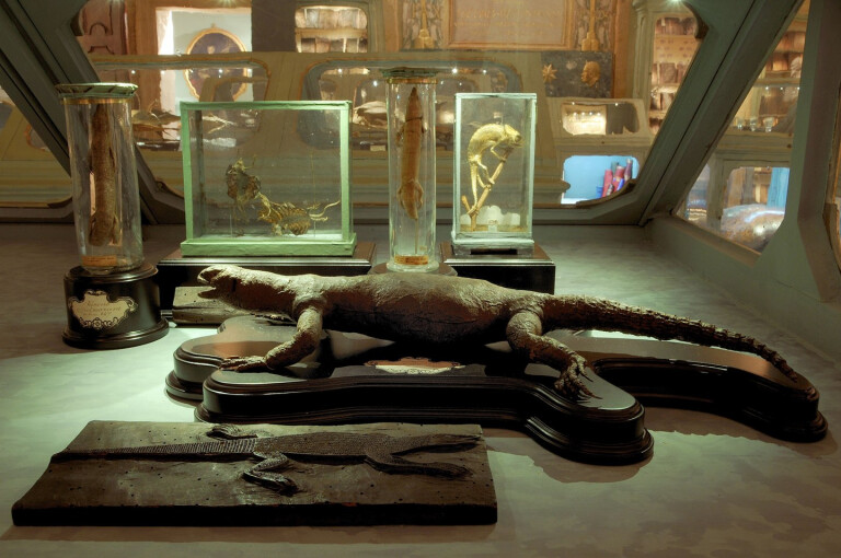 copertina di Museo di Palazzo Poggi