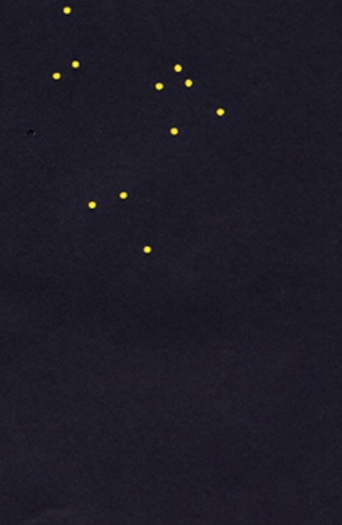 macchine per accendere le stelle.jpg