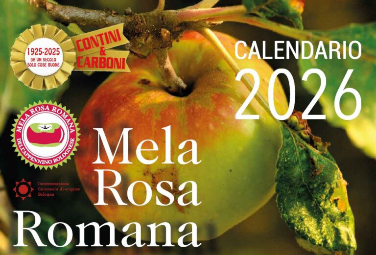 copertina di Il calendario Mela Rosa Romana 2026