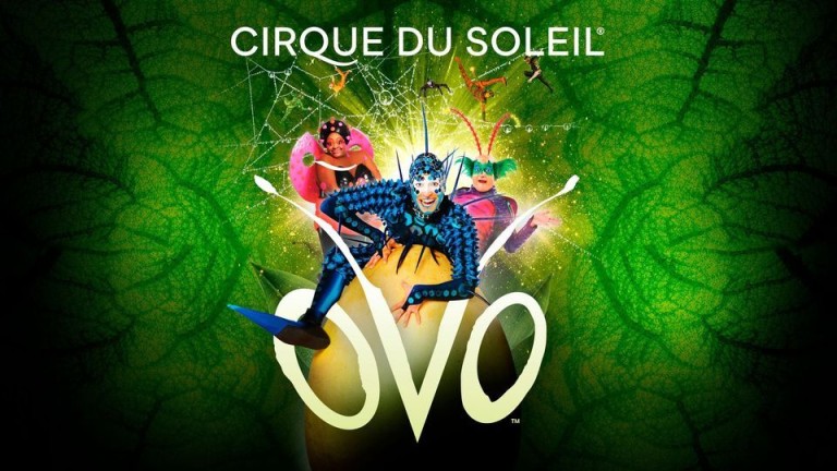 couverture de Cirque su Soleil | Ovo