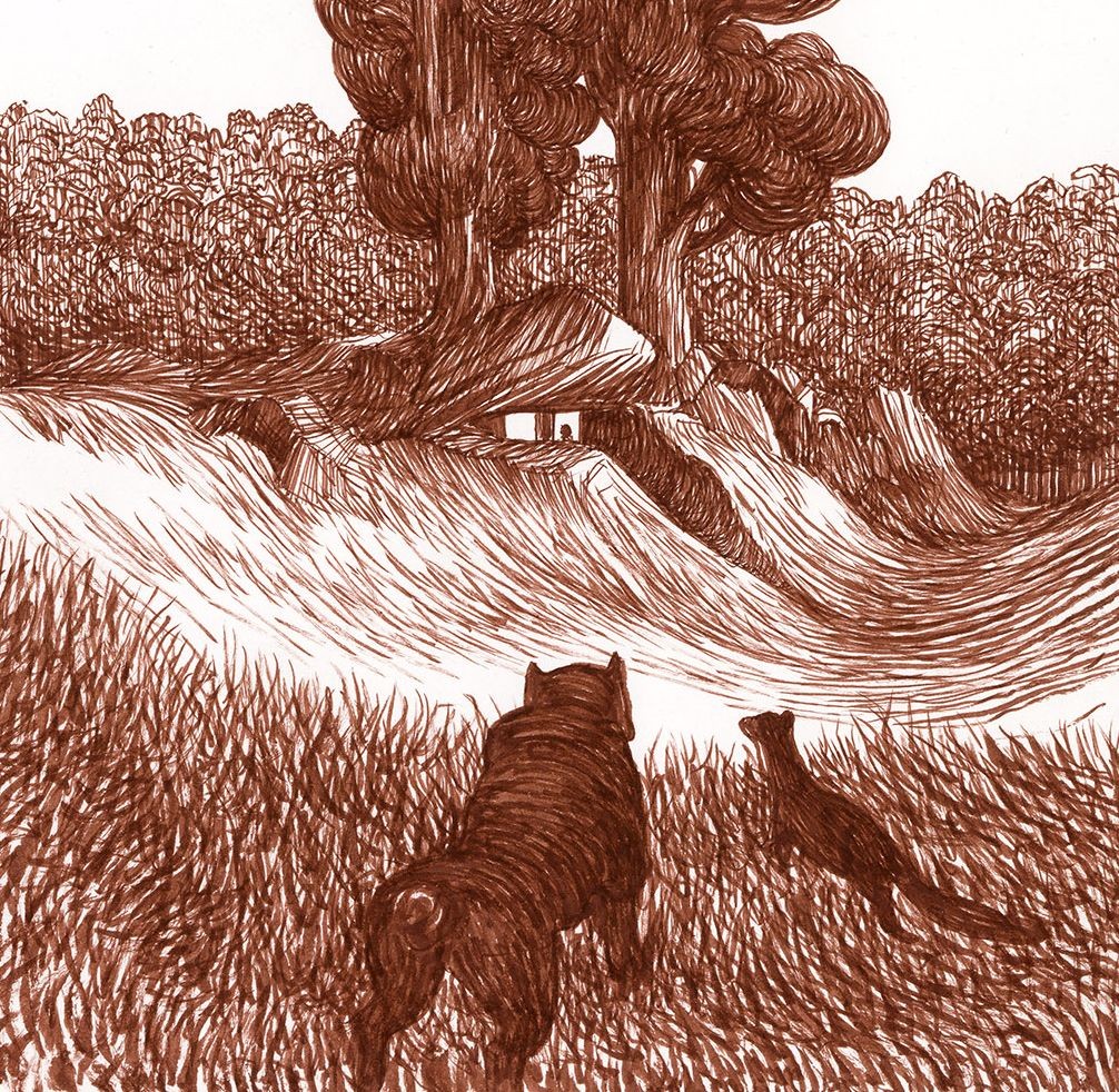 copertina di Lorenzo Mattotti