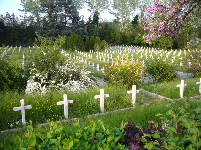 immagine di Cimiteri guerra Linea Gotica