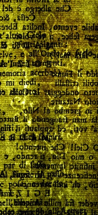 image of ID. 160 cuore a stemma, DML