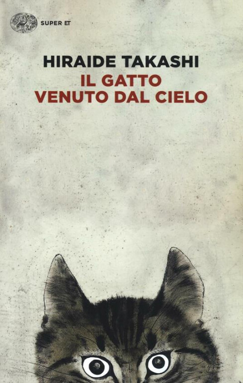 cover of Il gatto venuto dal cielo