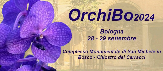 copertina di Le Orchidee spontanee dell'Appennino tosco-romagnolo