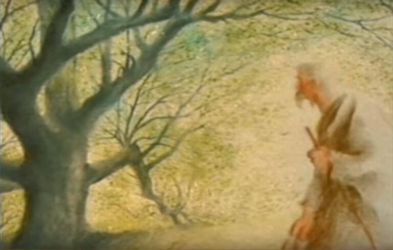 copertina di L’uomo che piantava gli alberi 