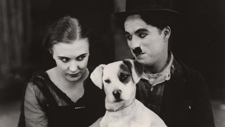 copertina di A DOG’S LIFE | Vita da cani