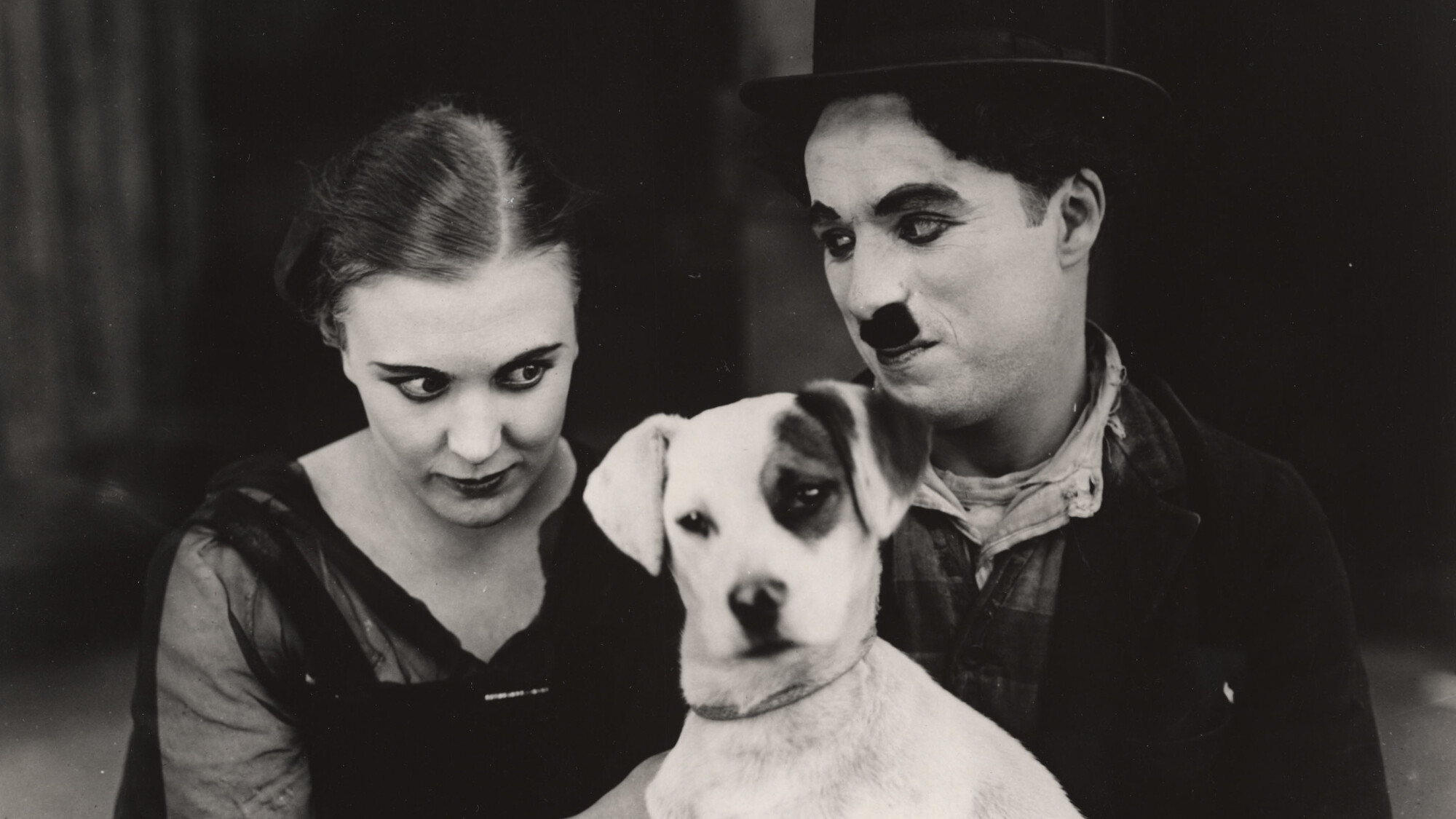 A dogs life | Vita da cani