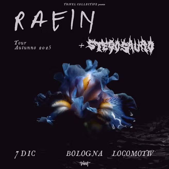 immagine di RAEIN | opening act: Stegosauro + Reverie