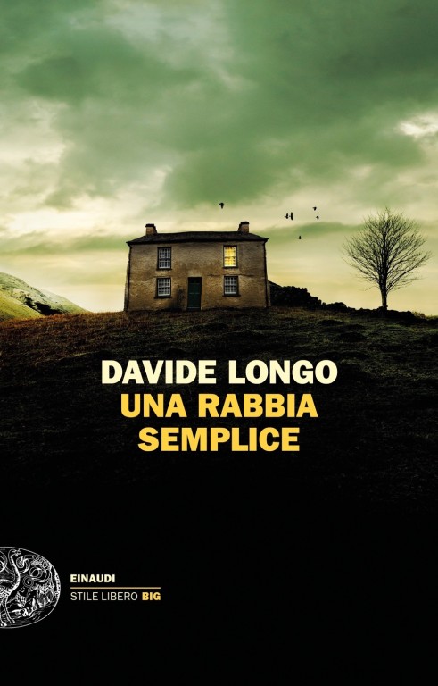 copertina di Una rabbia semplice
