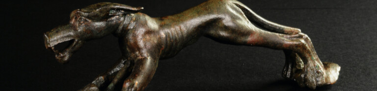 copertina di I Musei Civici partecipano a "Dogs & Museum Road Show" ideato da Bauadvisor