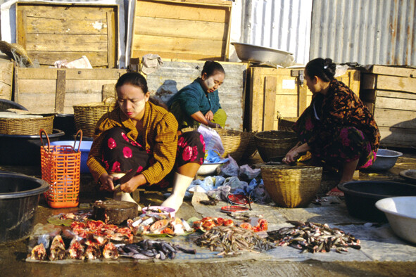 Pulizia del pesce al mercato di Kyaing Tong - Myanmar - 1998