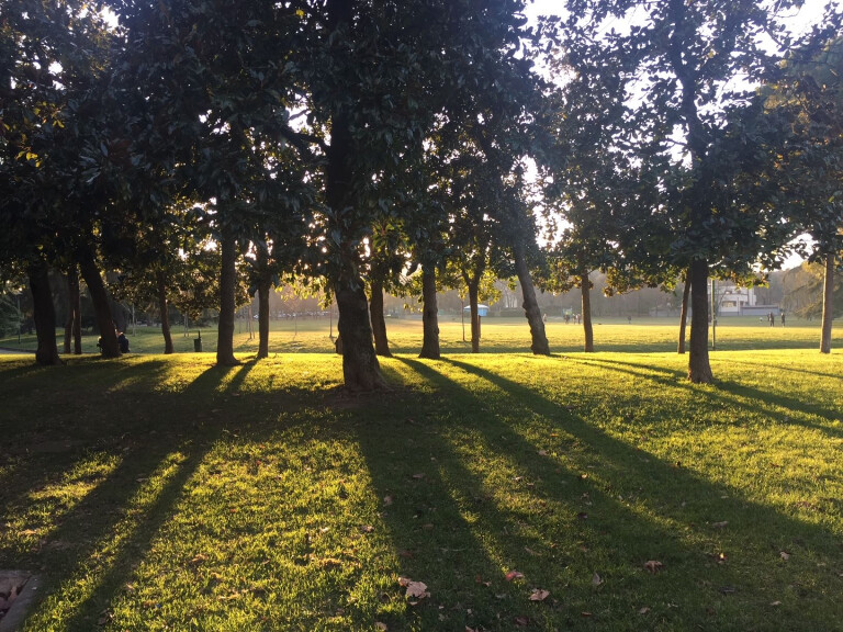 copertina di DAL PASSEGGIO REALE AGLI ORTI DI GUERRA – Giardini Margherita 