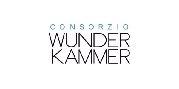 cover of Wunderkammer