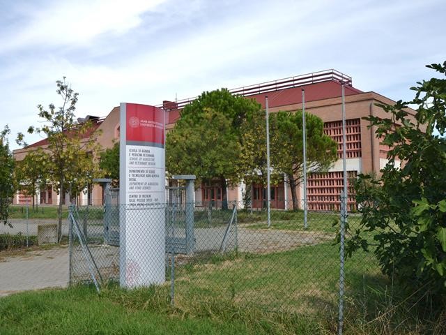 Università di Bologna - Facoltà di Veterinaria - Ozzano E. (BO)