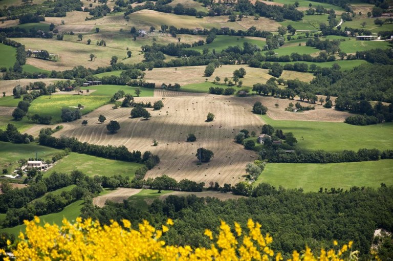 lipperini.jpg