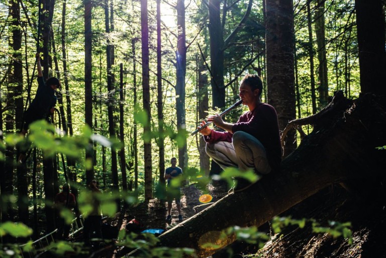 copertina di Il Bosco Parlante - performance diffuse in natura musicate dal vivo 