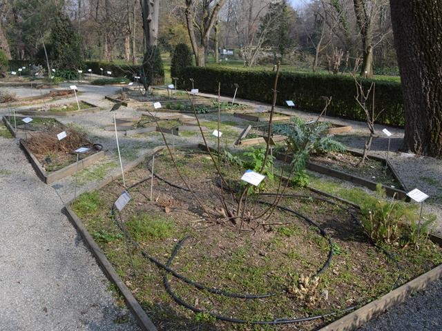 L'Orto dei Semplici - ricostruzione del Giardino di Aldrovandi nel Palazzo comunale (BO)