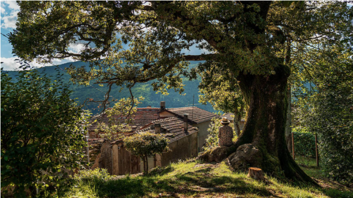 copertina di Camminare i borghi 