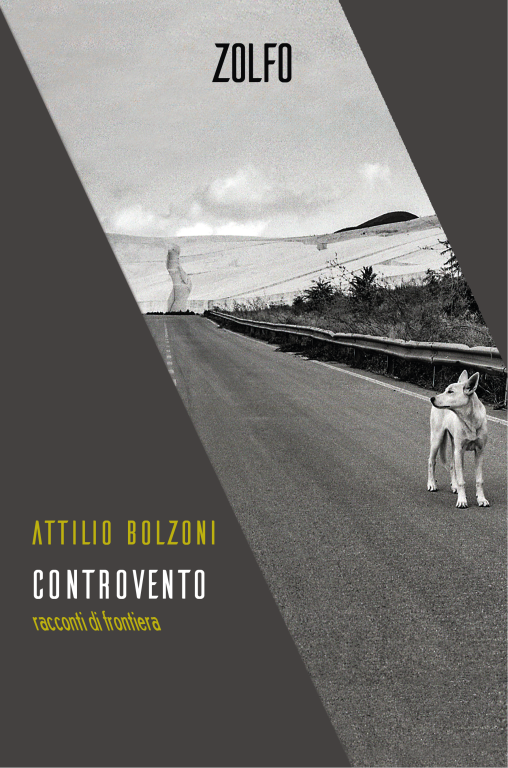 cover of Controvento. Racconti di frontiera
