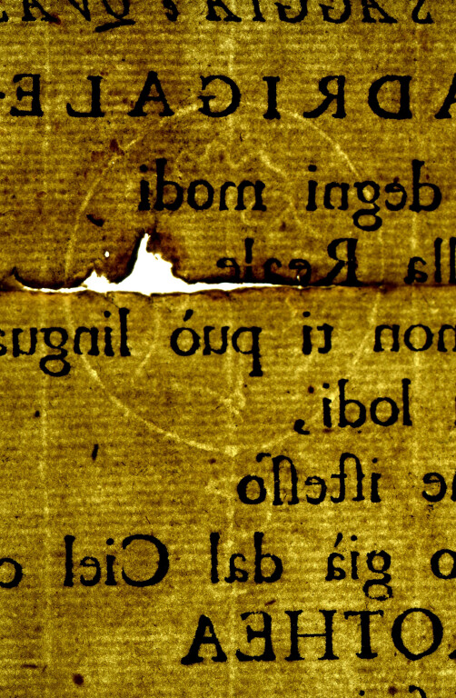 image of ID. 100 testa di profilo cerchiata, P