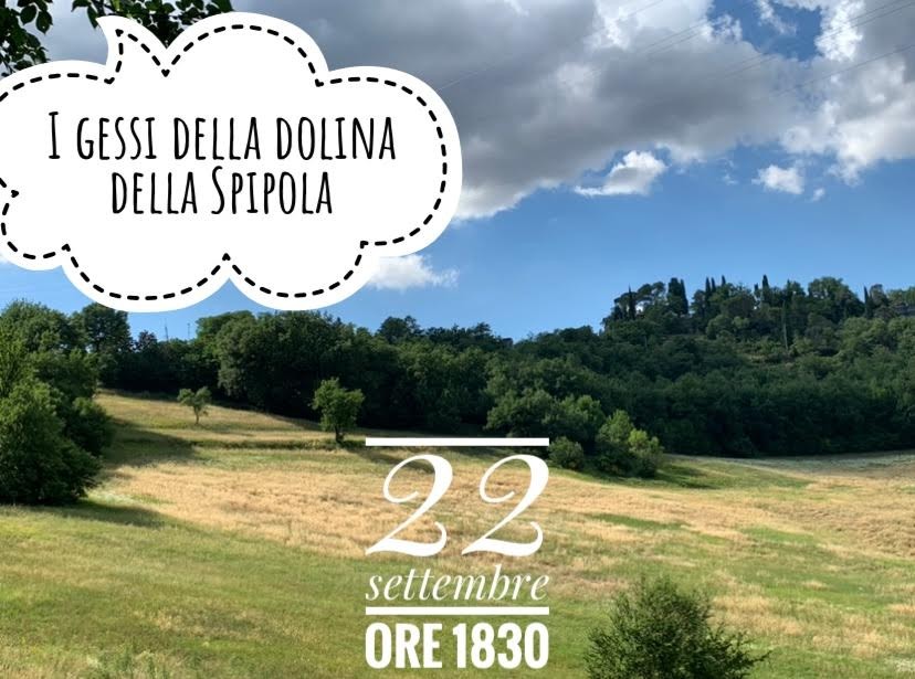 copertina di I gessi della dolina della Spipola