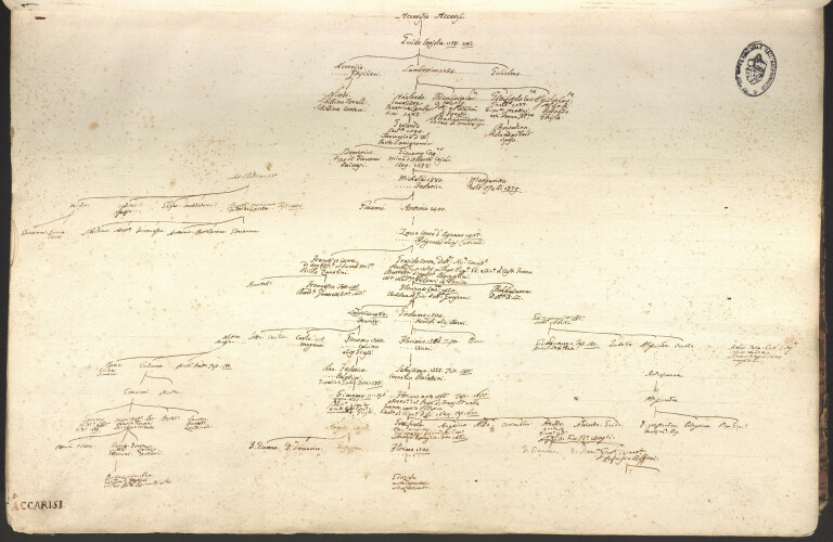 Alberi genealogici