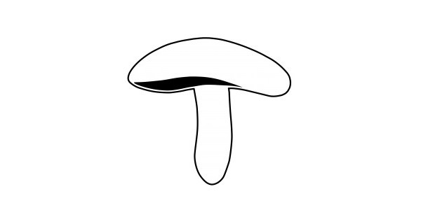 cover of MushroomSound di Michele Postpischl