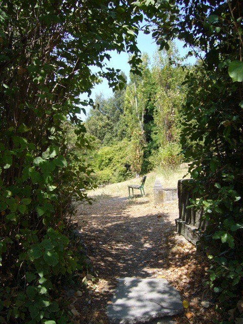 Parco di Paderno - un sentiero tra le siepi