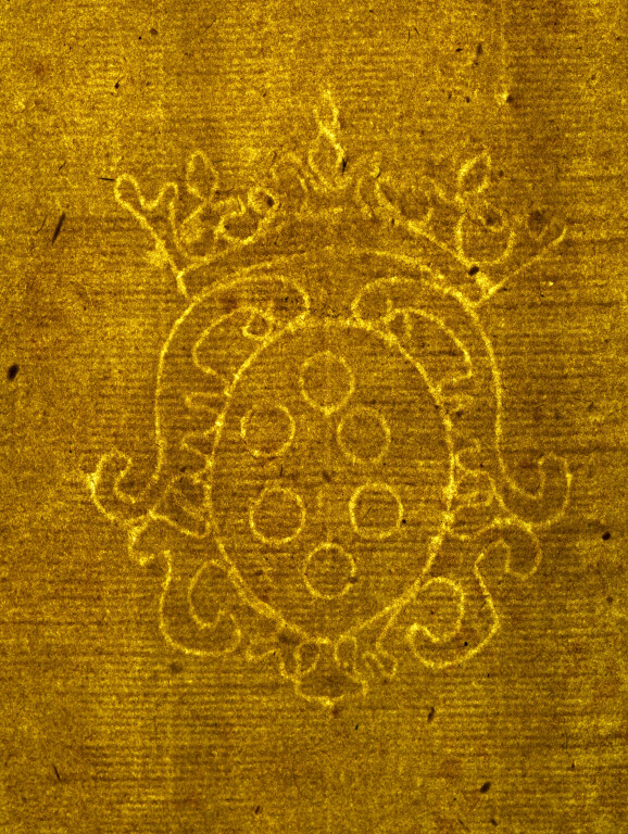 image of ID. 40 stemma Medici