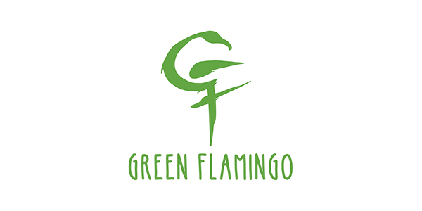 copertina di Green Flamingo