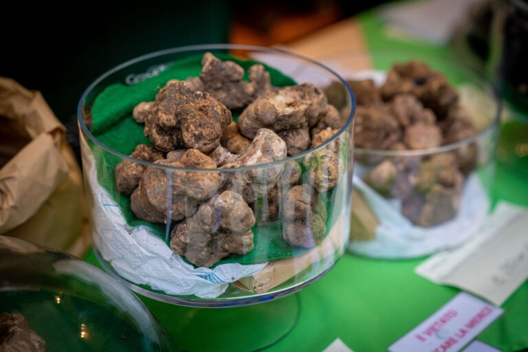 copertina di Presentazione Tartufeste 2025