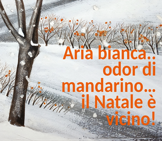 immagine di Aria bianca, odor di mandarino... il Natale è vicino!