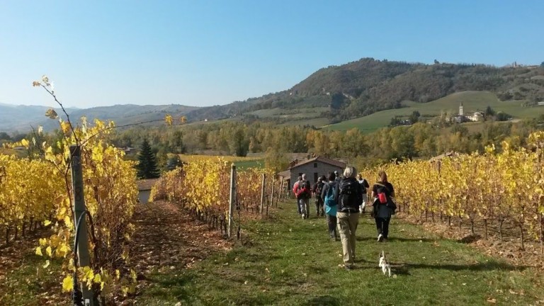 La Via dei Brentatori: tra storia, natura ed enogastronomia alla scoperta della Valle del Samoggia e della Valle del Lavino