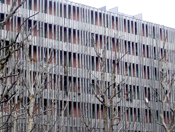 In giro per Bologna, Dimensione del disagio abitativo e strategi